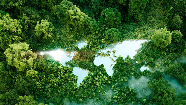 Shaoxing Roman Plastic Co., Ltd.